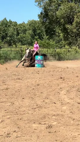 Ol Classy girl, may have a fight on her hands with the twins both loving her!  Such a talented 4 year old with only a few months on the pattern! 🔥🔥🤟🏽🩵 #hrcolouredwhiskey #classygirl #barrelracing 
