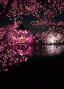 Part 10 #vibes #fyp #nostalgic #japan #japanstyle 