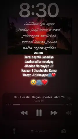 Inan Ku Jaraa Dageney Ogoow Waa Ani Jabkayge#azkim #fyp 
