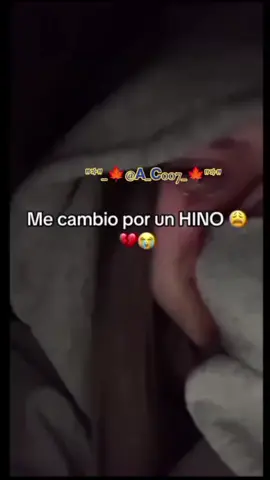 #ganaderosgt🇬🇹 