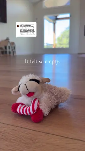 Replying to @Meggo 😭😭 Grief hits weird but she LOVED Christmas. They’re watching us and learning how to honor and mourn so when the boys asked if we could decorate for her it felt like the perfect way to try to fill the space where her toys and dog bed usually lay. 😭💔🐕  Tell me it gets easier..? 🥹💔 #goldenretriever #petloss #bestfriend #husband #goodbyes 