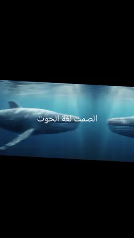 #النصيحه  من الحوت.  الصمت.   الاحساس و العاطفيه الحوت الحوت الحوت 