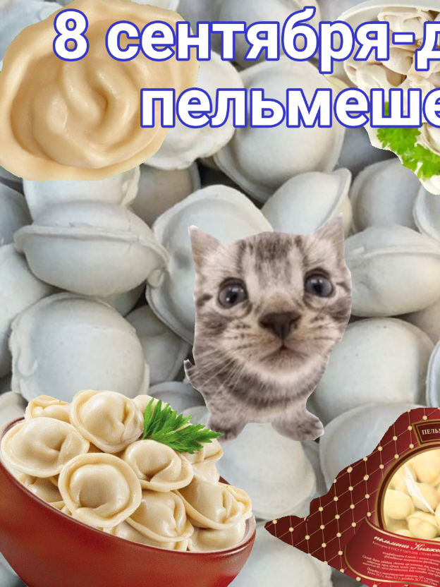 #8сентября #вкусненьки #пельмешечки ТГК: https://t.me/bitboit