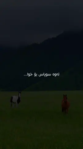 هەر چییەك لەلایەن خوداوە بێت خێری تیدایە🫶🏻 #islam #foryou #foryoupage #fyp #viral 