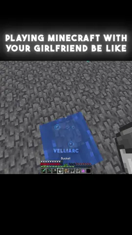 Why does she always bring so many cats 😭 #minecraftmemes #Minecraft #dailymemes 