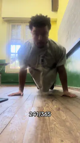 Dia 241/365 #pushups 