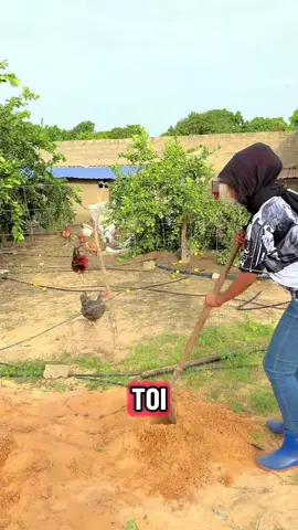 Le sommet n’attend que ceux qui osent grimper.#foryou #tiktoksenegal #eleveur #vachelatiere #womenownedbusiness 