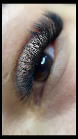 Volumen 4D🤎🤎 #lashes #lashextensions #extensionesdepestañas #pestañaspeloapelo 