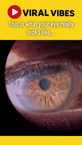 The human eye is the most advanced lens on earth 📸 #fyp#viralvideos#Science #human #viralvibes 