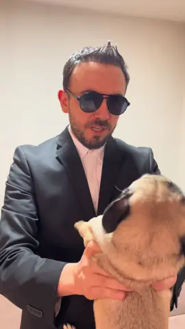 #emma #pug Emma la pug qué sabes? Hombres de negro. Habla! 