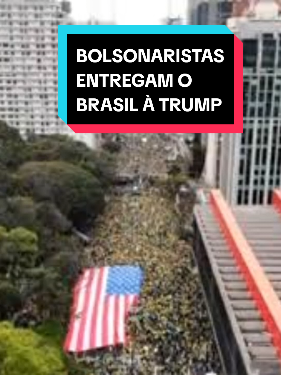 #semanistia #bolsonaristas #bolsonaro #lula #stf 