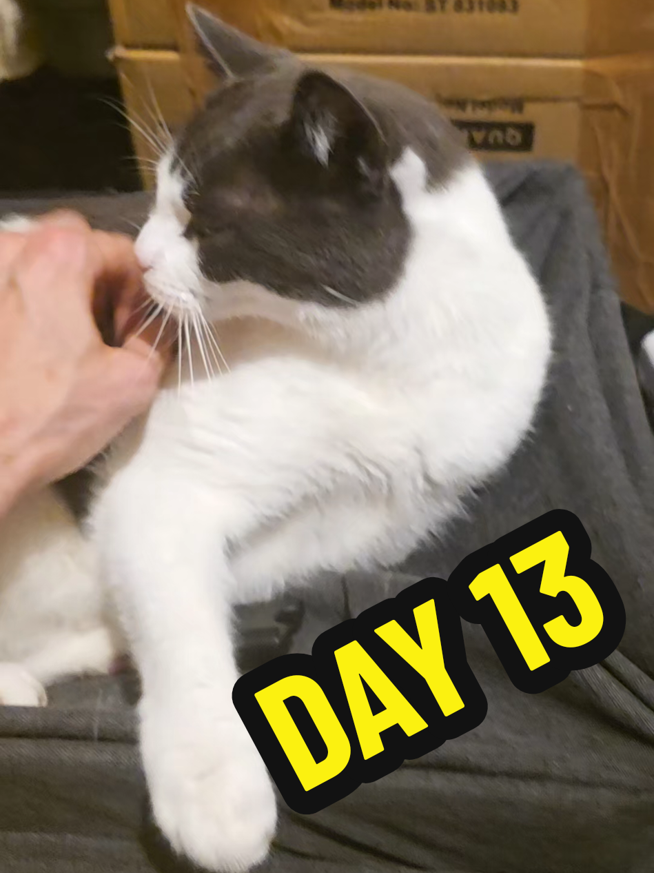 Day 13 of using the amazing Interior Hanging wardrobe #dehumidifiers -- ✨ Shop Smart, Scroll Happy! ✨ 🛍️ Trending Finds • Hot Deals • Must-Haves #TikTokShop #TikTokMadeMeBuyIt #ShopWithMe  #ViralProducts  🛒 Don’t miss out — your next fave is one scroll away!