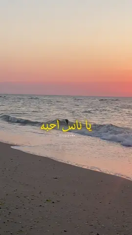 #احبه #احبك #حبيبي #ياناس #شعر 