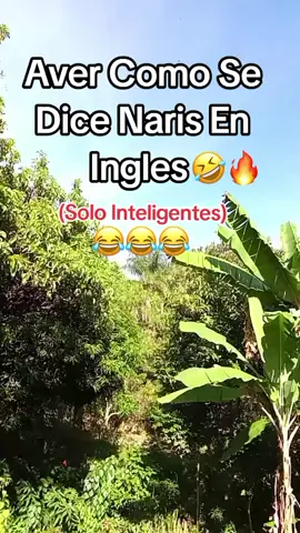 como se dice nariz en ingles😂😂#humortiktok #quesehagviral🥺🥺 #😂😂😂😂😂 #videohumor🤣 