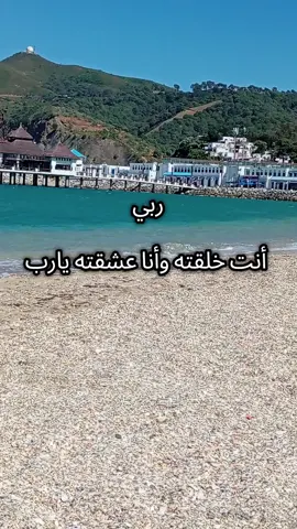 حبيب الروح ورفيق الدرب#حبيبي #روحي #حبيب #اقتباسات #قلب 