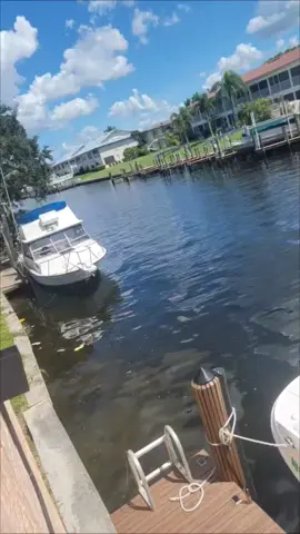 A nice stop for lunch. Boat right to this lovely spot. #florida #capecoral #canal #water #boat 
