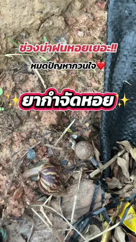 ยากำจัดหอย #กำจัดหอย #เทรนด์วันนี้ #ซ็อปมันวันเงินเดือนออก #fyp  @โบว์  @โบว์ 