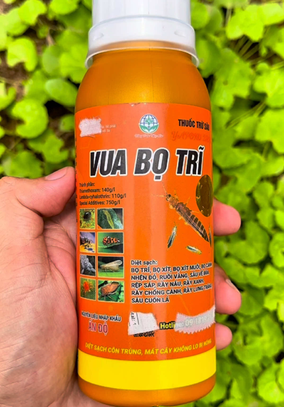 Bà con mình đang đau đầu vì bọ trỉ, sâu rầy thì đừng lo đã có Vua Bọ Trỉ #xuhuong #vuabotri #sâu #rầyxanh 