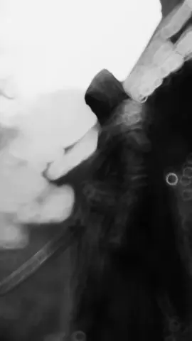 اقسم اني لم أسلك طريق النفاق #حكمة_اليوم #fyp #اقوال_وحكم #foruyou #maroc 