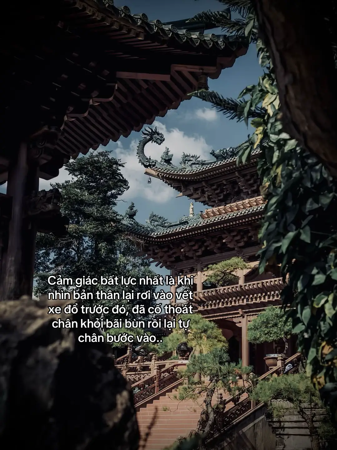 最无助的感觉是当你看到自己陷入同样的​​困境，试图摆脱困境，然后又再次陷入困境。#tanh08_ #tamtrang #story #sttdoi 