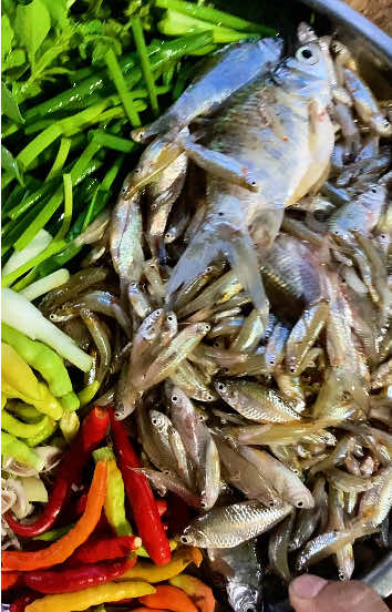 มื้อนี้กะได้ปลาเล็กปลาน้อยมา จะทำหมกหม้อใส่พริกโดด พร้อมผักคุณตู่หอมๆ  #แนวกินอีสาน #หมกหม้อปลาเล็กปลาน้อย #กับข้าวบ้านๆ #อร่อยบอกต่อ #เข้าครัวtiktok 