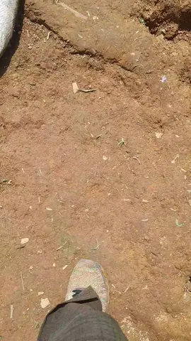 ternyata penyebab desil tinggi salah satunya punya cicilan kredit di Bank #bansos  #bansossementaraberdayaselamanya  #kemensos 