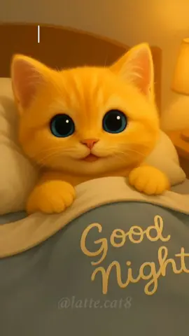 Don't stay up late, go to bed early, good night#WarmHealing #cute #cathealing #lattecat #catcompanionship 