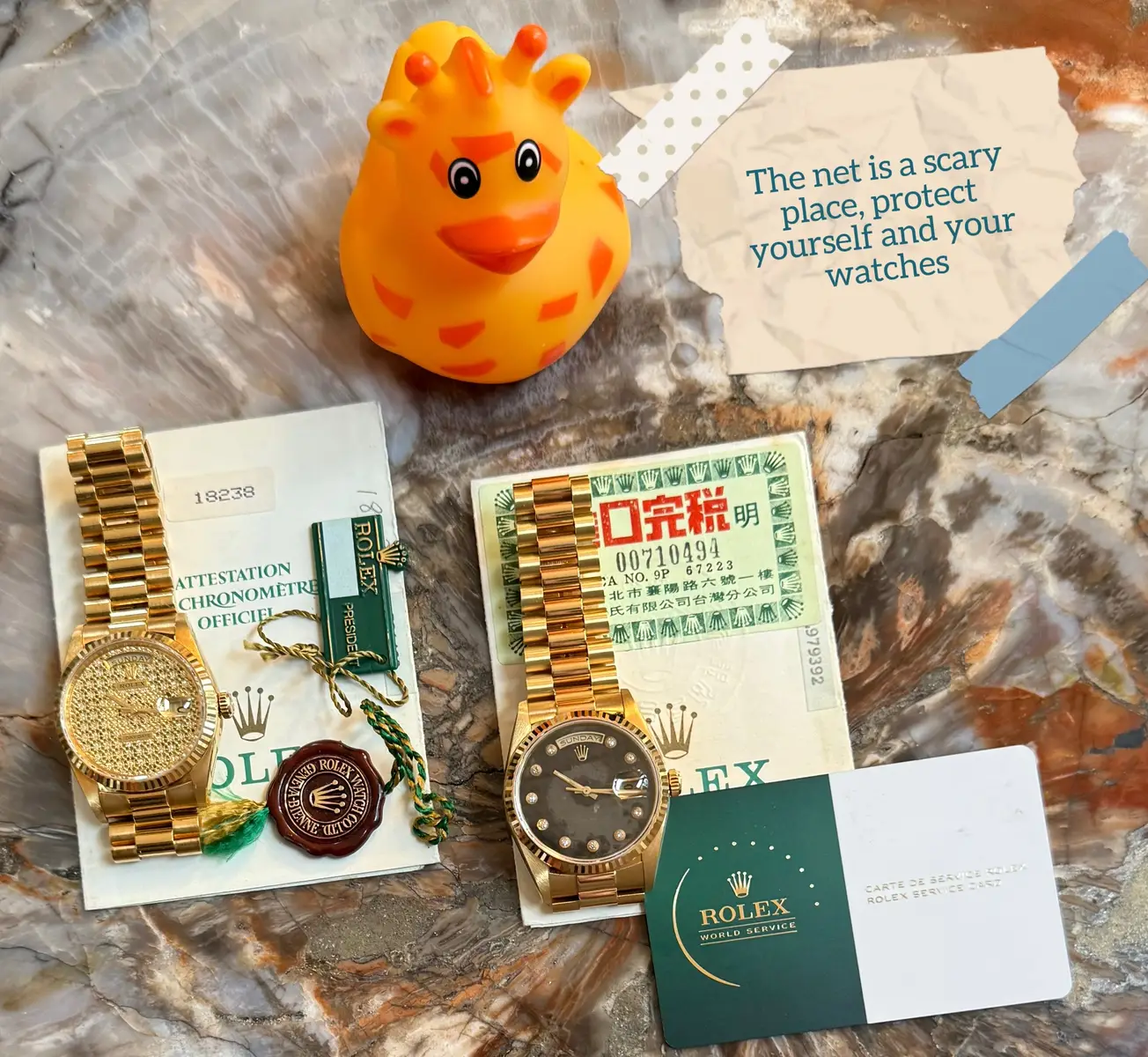 People keep asking why have a duck on the photo. Real ones know.  #rolex #pov #fypシ #facts #mood 