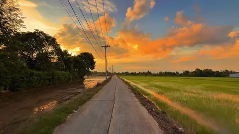 Bình Chánh chill nè anh em 🥰🤭✌️ #xuhuongtiktok #chill #nhạcchillcảnhđẹp #bìnhchánh #fyp 