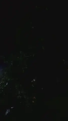 Semoga Gerhana bulan semalam akan membawa kesejukan keindahan ketenangan dan perbaikan bagi masa depan bangsa dan negara kita. Amin #gerhanabulan #lunareclipse #bloodmoon 