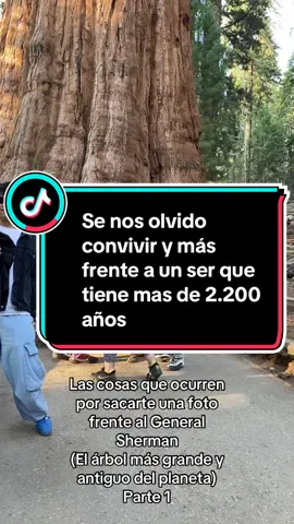 #seqoianationalpark #californiadreaming #amorypaz #tendencia #tolerancia @sequoia.national.park 