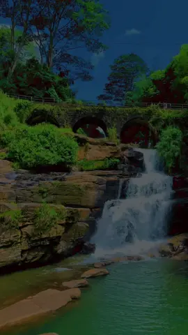 Kadiyanlena waterfalls...🍃💦(කඩියන්ලෙන ඇල්ල) . . . Beautiful place. Hidden waterfall near Nawalapitiya kothmale Road. Three steps waterfall . Safety place for bathing . #srilanka #naturelovers #waterfall #travel #peacefulmind 