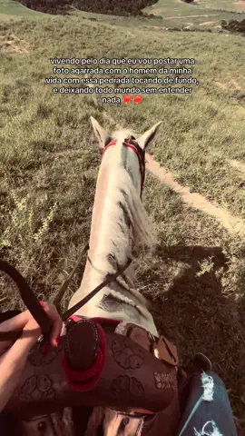 meu sonhooo  #fyp #foryou #foryoupage #viral #agro 