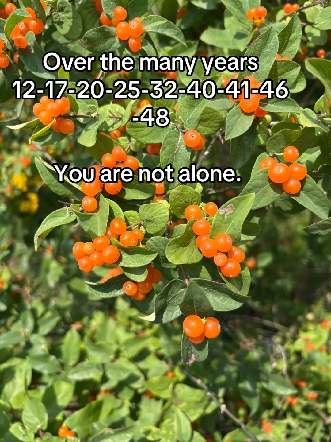 #bikerwitch #americanfolkwitch 