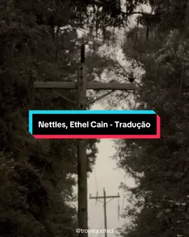 nettles by ethel cain tradução #ethelcain #music #willoughbytuckerillalwaysloveyou #fyp 