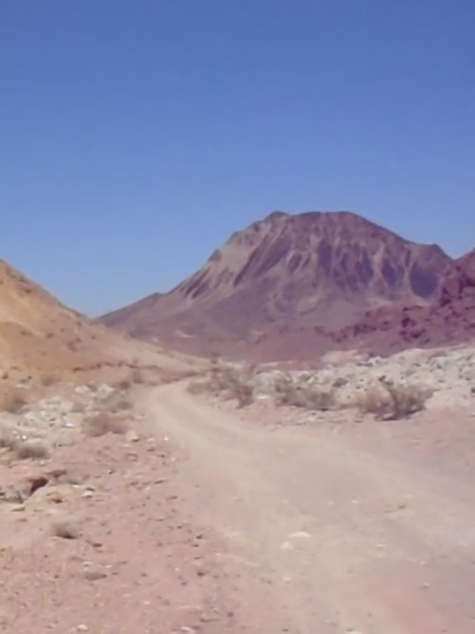 desert yo                                                        #circa40 #digitalcamera 