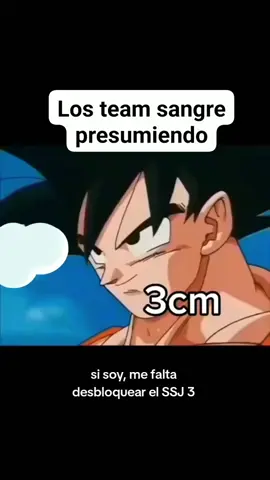 nosotros los team sangre presumienddo #teamsangre #endermite776 #Minecraft #meme #regreso 