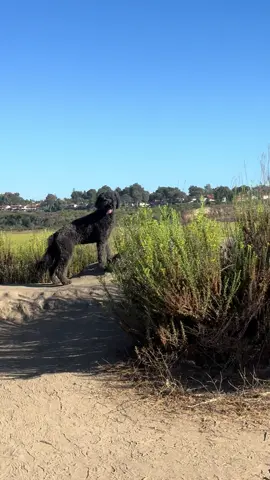 Me and my best friend at our favorite trail 