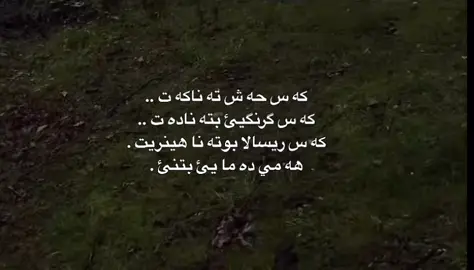 اكسبلور