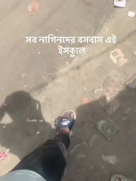 সব নাগিনদের বসবাস এই ইসকুলে #iendkseiebieuxnaos #আশা_করি_এই_ভিডিওটি_ভাইরাল_হবে #iendkseiebieuxnaos #আশা_করি_এই_ভিডিওটি_ভাইরাল_হবে @🤴⚡N O Y O N  ❤️‍🩹🤙🫅 @🌿🌿শেষ বেলার অনুভূতি 🌿🌿 