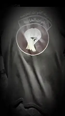 القوات الخاصة العراقية…تدريب…أبطالناااا. #القوات_الخاصة_العراقية #جهاز_مكافحة_الارهاب_الفرقه_الذهبيه #الكلية_العسكرية_الاولى_مصنع_الابطال #كلية_الشرطة_العراقية_مصنع_الابطال #ضابط 