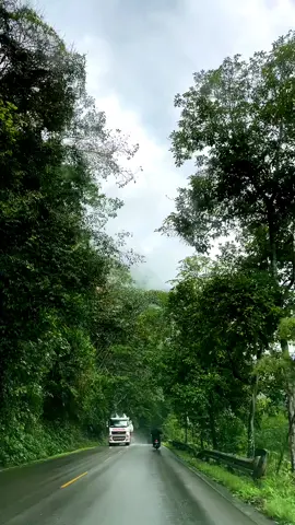 Viajar bajo la lluvia y en Tingo María 🌴🫀 #tingomaria_perú💚 #viaje #lluvia 