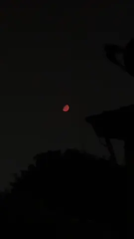 #កូនអ្នកបាត់ដំបង #ដៃគូបង់ប្រាក់💰💸 #តាកែវផ្ទះខ្ញុំ #CapCut @user6175205324952 @ហុង សុវណ្ណចិត្រា 