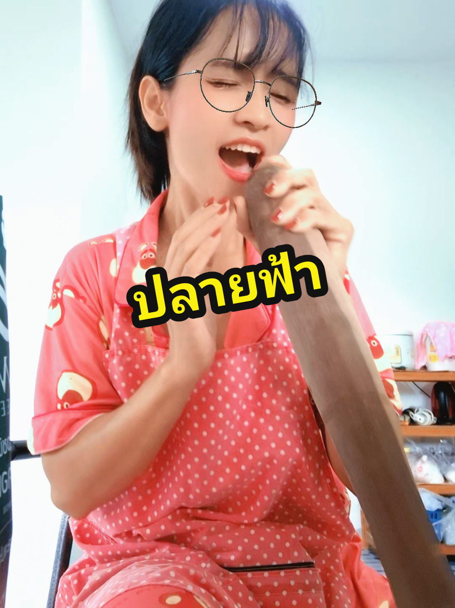 หนียังบ่พ้นเพลงนี้...ปลายฟ้า ใหม่พัชรี