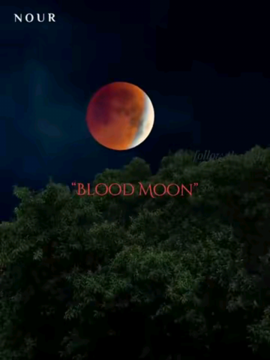 You're the moon💗✨انت القمر  حتى القمر تعب...وبقي لون الدم🩸 بس برده..لسه منور السما🌟  Even the moon turned bloody red, yet it still lights the night 🌙 .......✓ The Blood Moon 🩸 7th September 2025, Total Lunar Eclipse.القمر الدامي الاحمر🫀 we're getting closer 0:00 follow the light 🕯️ We're the NOUREYS  #nouries  #bloodmoon #egyptians  #خسوف_القمر #تعبت  @𝓝𝓞𝓤𝓡 ☽ bloody moon 2 @𝓝𝓞𝓤𝓡 ☽ امشي ل النور @𝓝𝓞𝓤𝓡 ☽ لو انت ف مشكله..