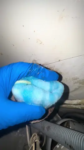 #stitch with @Thorleif brubakken 