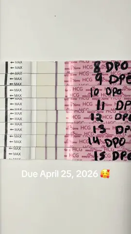 Pregnancy test line progression from 8dpo to 15dpo. You are so loved already little one! 💛 #pregnancytest #pregnancyjourney #dpotesting #ttc #pregnancytiktok 