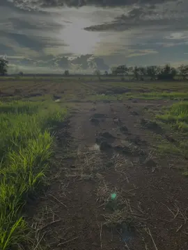 🌅🌾#วิวบ้านนอก🍃#ฟีดดดシ#fyp  