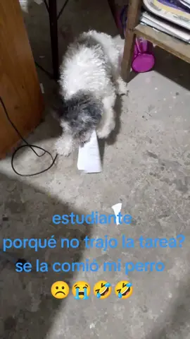 DASH NO SE SI REÍRME O LLORAR 🤷 QUE TRAVIESO ERES NIÑO 🤦