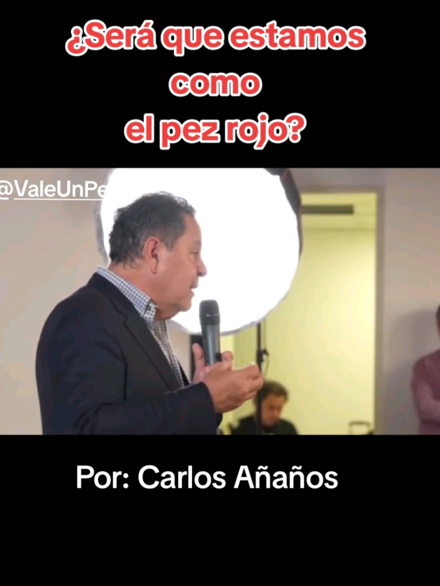 ¿Será que estamos como el pez rojo? Sin ver las oportunidades en nuestro pais. #emprendimiento #emprendedores #empresariosperuanos #perú🇵🇪 #perú #negocios #riqueza #prosperidad #valeunperu 